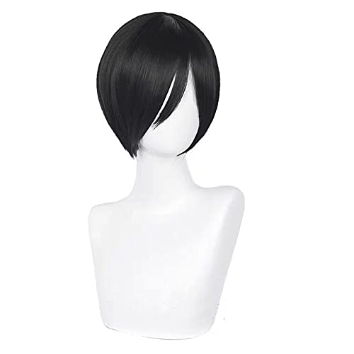 Tech Accessories For Men - Cabelo preto curto e reto para
